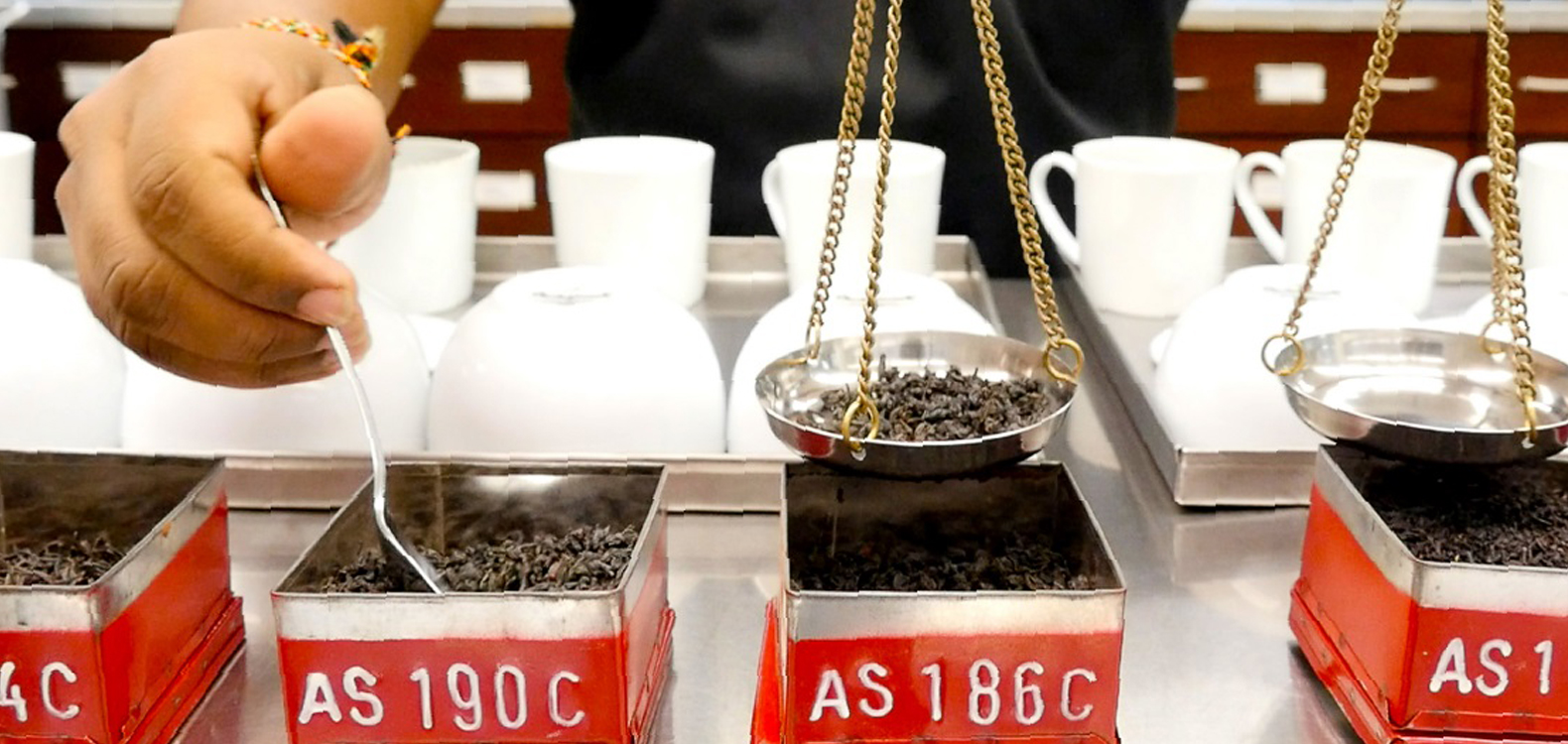 紅茶原料